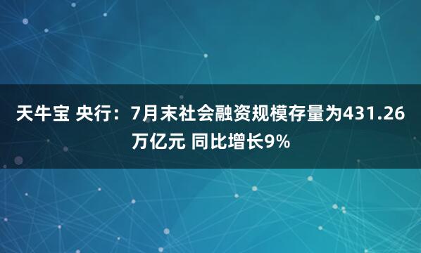 天牛宝 央行：7月末社会融资规模存量为431.26万亿元 同比增长9%
