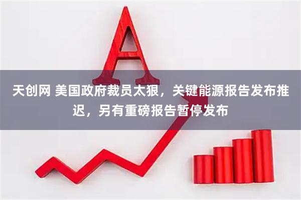 天创网 美国政府裁员太狠，关键能源报告发布推迟，另有重磅报告暂停发布