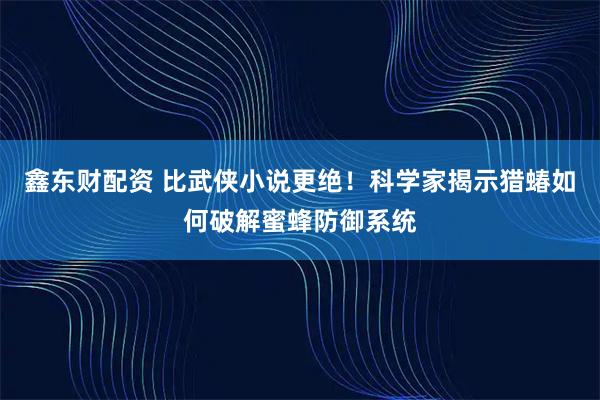 鑫东财配资 比武侠小说更绝！科学家揭示猎蝽如何破解蜜蜂防御系统
