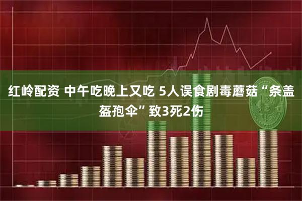 红岭配资 中午吃晚上又吃 5人误食剧毒蘑菇“条盖盔孢伞”致3死2伤